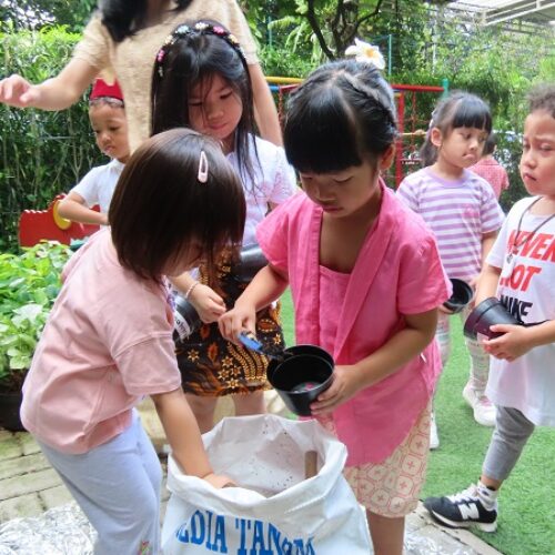 asa program (1) asa program (1)